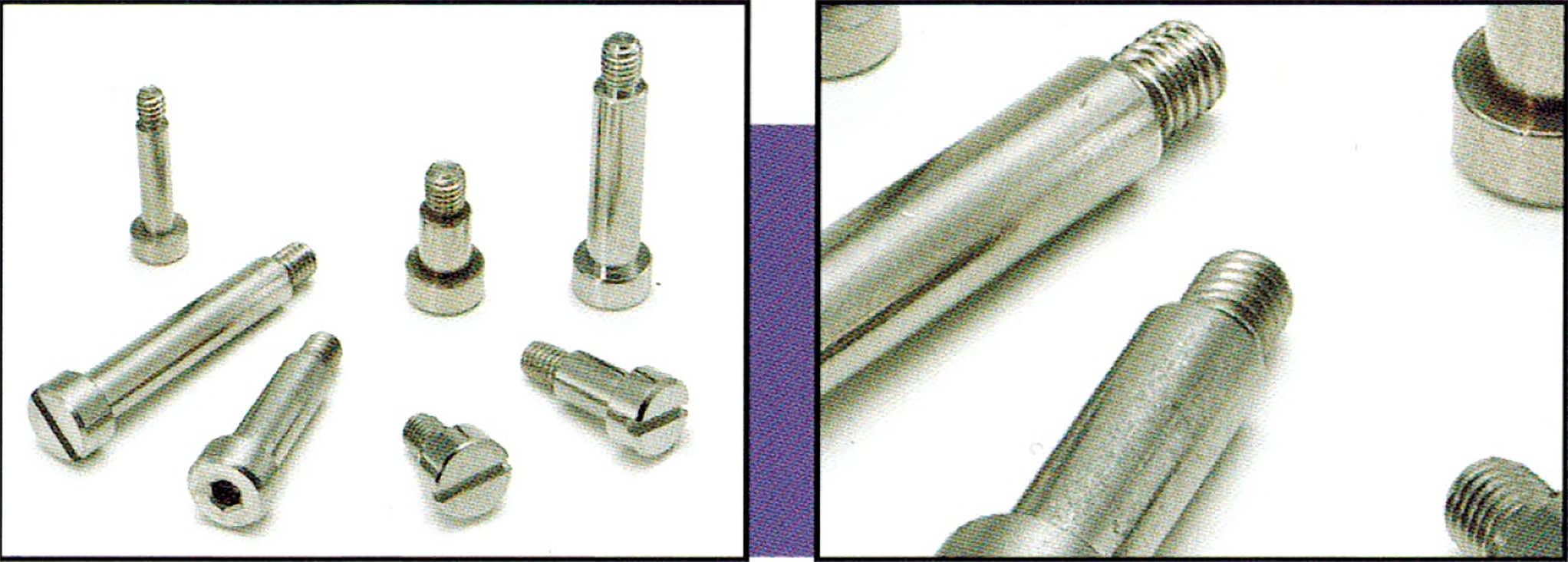 An array of Fascomp Electronic Shoulder Screws. Rivet Nut USA is a Fascomp Electronic Shoulder Screw Distributor.